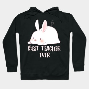 Some Bunny Loves Teaching Hoodie